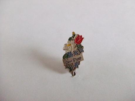 Pako Rhenen Bert drost bloemen tulp
